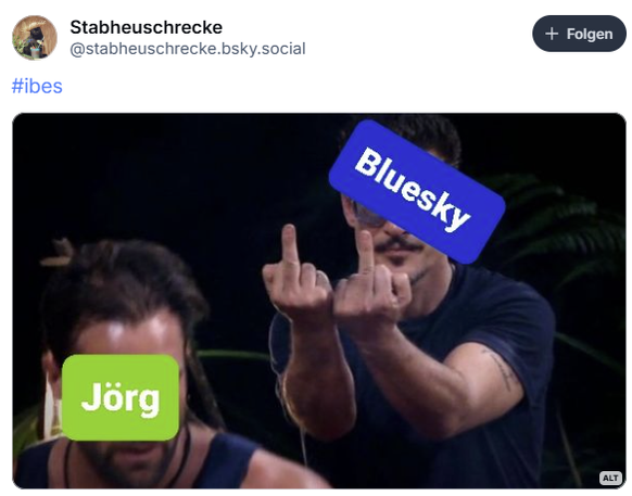 Nachrichten Linkding Dschungelcamp Memes und Posts 2025
