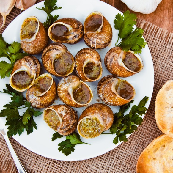 Escargots weinberg schnecken frankreich französische küche rezept essen food shutterstock