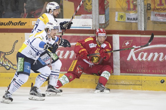 Tigers Adrian Gerber, rechts, kaempft um den Puck, gegen Ambris Lukas Lhotak, vorne, und Mark Bastl, hinten, waehrend der Platzierungsrunde der National League A, zwischen den SCL Tigers und dem HC Am ...