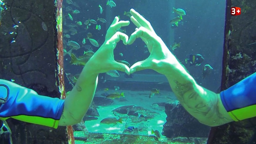 Tiefgründige, wenn auch nonverbale Kommunikation: Kay und Janosch im Aquarium.