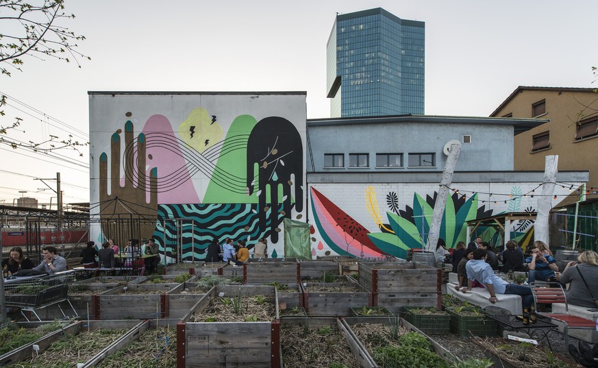 Urban Gardening, wie hier in Gerolds Garten in Zürich, gehört in manchen Städten zur Überlebensstrategie.