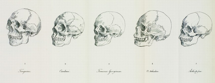 blumenbach fünf rassen rassismus anthropologie ethnologie https://upload.wikimedia.org/wikipedia/commons/3/39/Blumenbach%27s_five_races.JPG