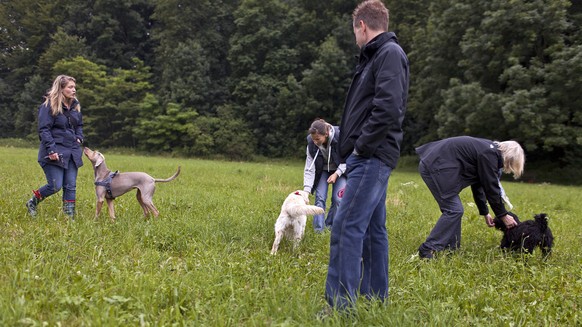 Die Hundekursleiterin Carolina Jaroch (links) mit dem Grauen Weimaraner Ima erteilt einen obligatorischen Hundekurs fuer neue Hundebesitzer, aufgenommen am 2. Juli 2012 in der Hundeschule in Zuerich.  ...