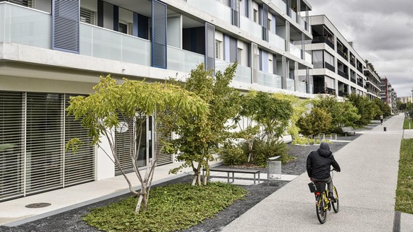 Il existe trois types de logements subventionnés: les HBM (habitations bon marché), les HLM (habitations à loyer modéré) et les HM (habitations mixtes).