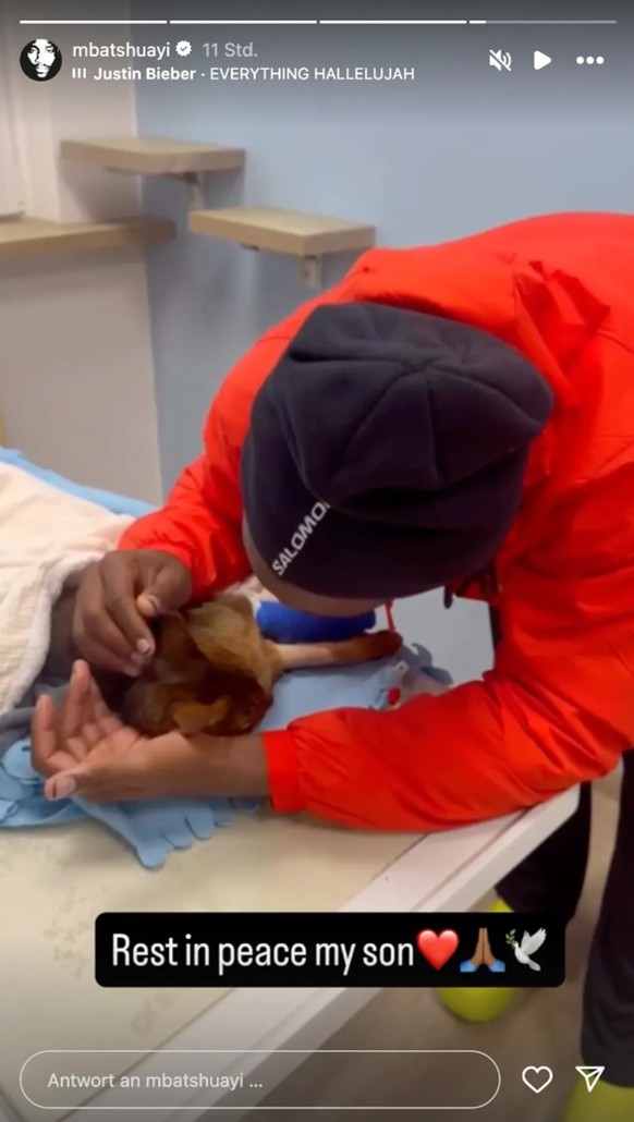 Michy Batshuayi pleure la mort de son chat sur Instagram.