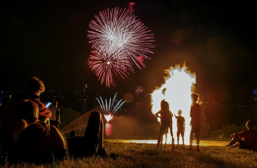 Les Villes Suisses Ou Regarder Les Feux D Artifice Le 1er Aout