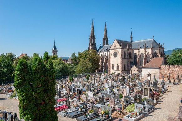 Vue de l'église des Saints Pierre et Paul à Obernai. Département du Bas-Rhin en Alsace.