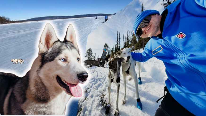 Pourquoi ma traversée de la Laponie avec cinq huskies a tout changé