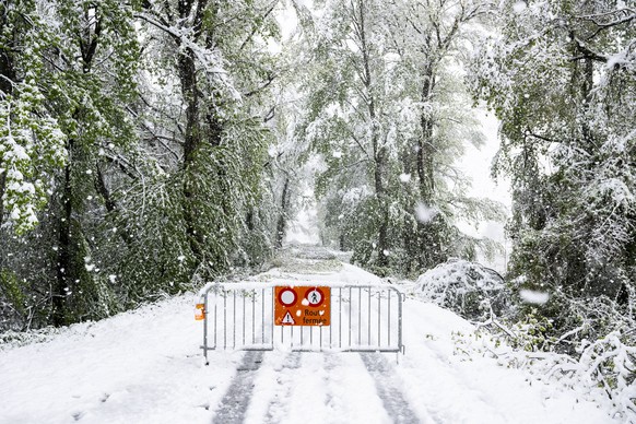 Une barriere ferme l&#039;acces car des branches d&#039;arbres sont visibles sur une route le jeudi 17 avril 2025 a Fully en Valais. Les fortes precipitations, qui s&#039;abattent sur le Valais depuis ...