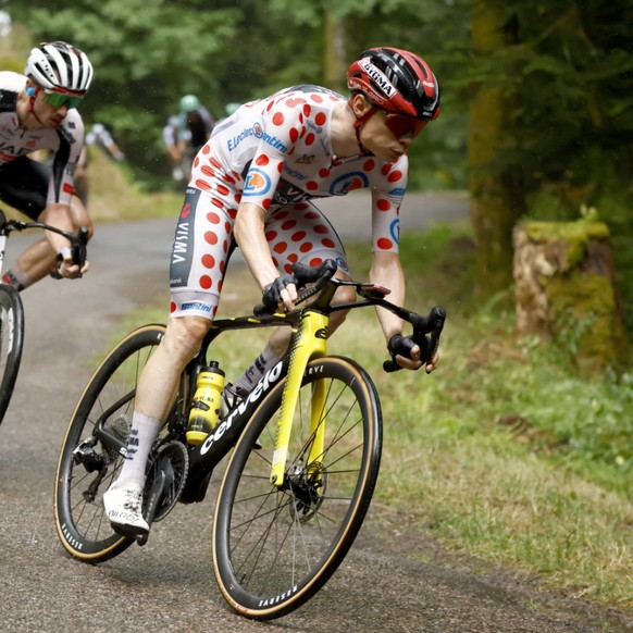 Jonas Vingegaard a dû quitter le Tour de France après une chute