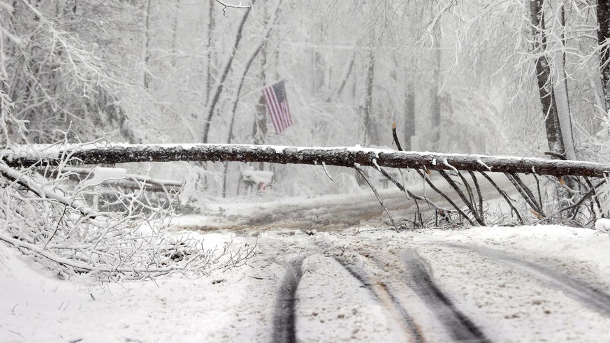 A tree lies across Scotchtown Road in Hanover County, Va., during a snowstorm Monday, Jan. 3, 2022. (Alexa Welch Edlund/Richmond Times-Dispatch via AP)