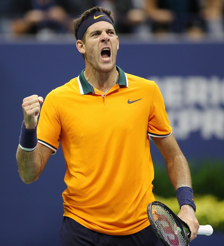 epa07009175 Juan Martin del Potro of Argentina reacts as he plays Novak Djokovic of Serbia during the men&#039;s final on the fourteenth day of the US Open Tennis Championships the USTA National Tenni ...