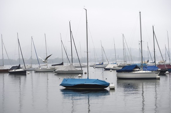 Segelschiffe sind am Dienstag, 1.Oktober 2013 beim Hafen in Luzern im Nebel. (KEYSTONE/SIGI TISCHLER)