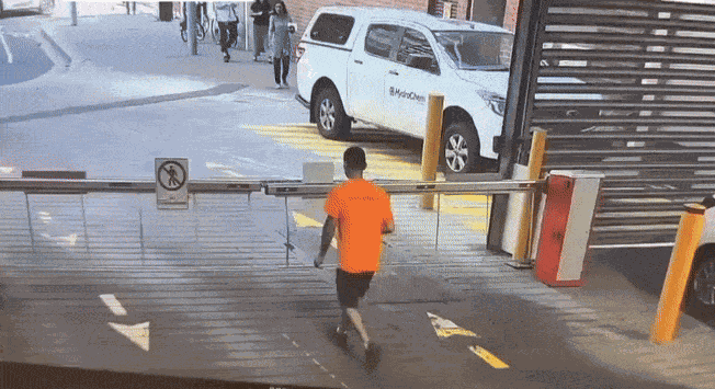 GIF animé