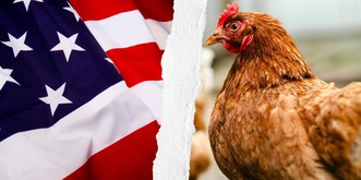 Du «poulet au chlore» des Etats-Unis bientôt dans nos assiettes?