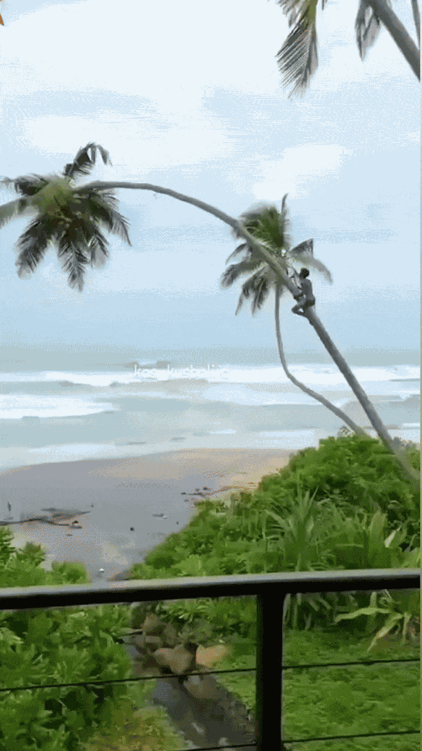 GIF animé