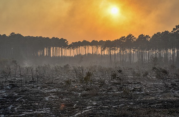 This photo provided by the fire brigade of the Gironde region (SDIS 33) shows a burnt pine forests water near Landrias, southwestern France, Tuesday, July 19, 2022. In the Gironde region of southwest  ...