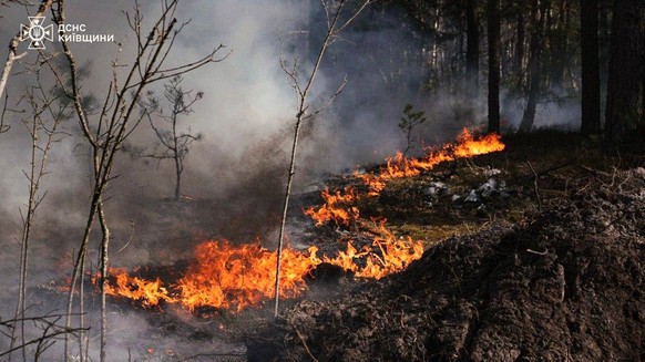 In this photo provided by the Ukrainian Emergency Service, a forest fire burning in the exclusion zone around the Chernobyl nuclear power plant, Ukraine, Friday, May 8, 2026. (Ukrainian Emergency Serv ...