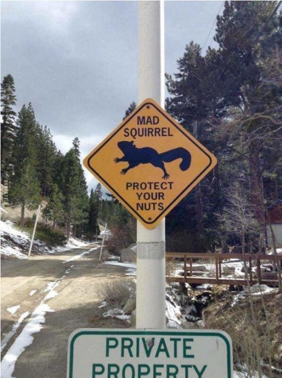 Lustiges Schild mit Eichhörnchen