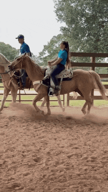 GIF animé