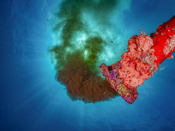 World Nature Photography Awards 2021: Nature Photojournalism, 2. Platz, Alexej Sachov, Ukraine. Hotel sewage pipe, Maldives.