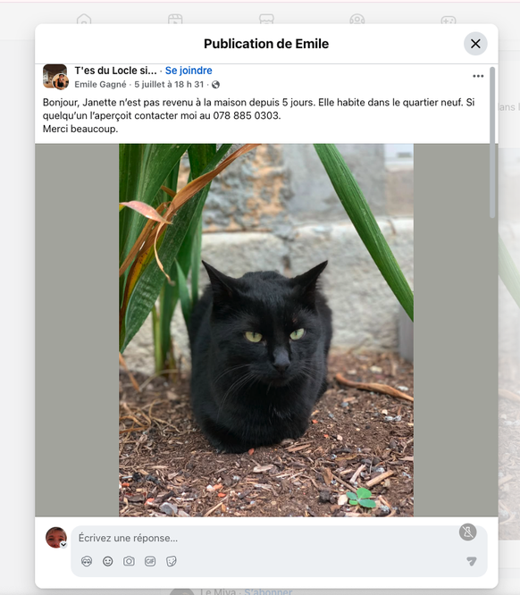 Le Locle: il croit récupérer son chat perdu, un arnaqueur tente de lui soutirer de l’argent
