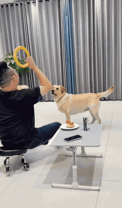 GIF animé