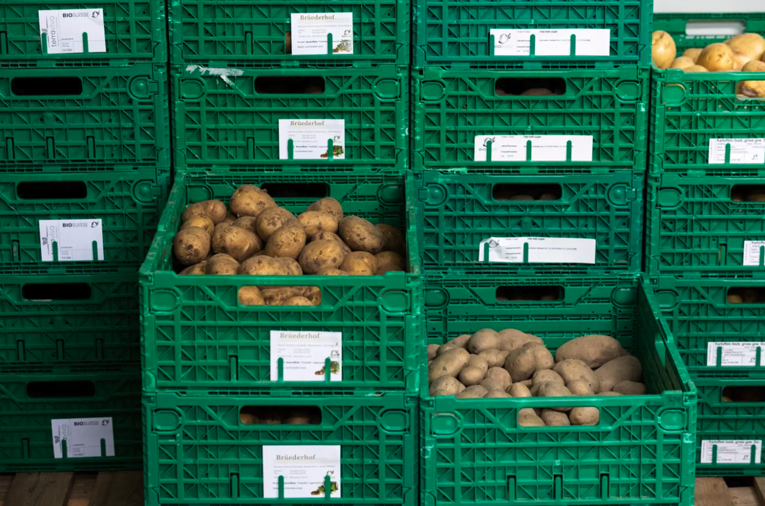 La récolte suisse de pommes de terre bio devrait durer jusqu&#039;en janvier, puis la situation deviendra critique.