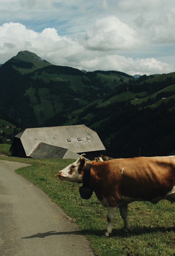Reportage chez Esprit Mossettes, à Abländschen (BE), la résidence temporaire du chef de La Pinte des Mosettes, Nicolas Darnauguilhem.
