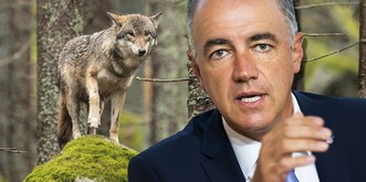 Christophe Darbellay sur le loup: «C’est la définition même du populisme»