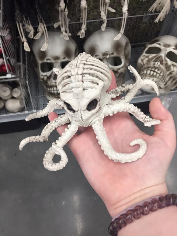 Oktopus Skelett Fail