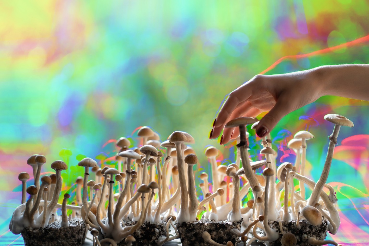 La Suisse permet de traiter le Covid long ou la dépression avec du LSD