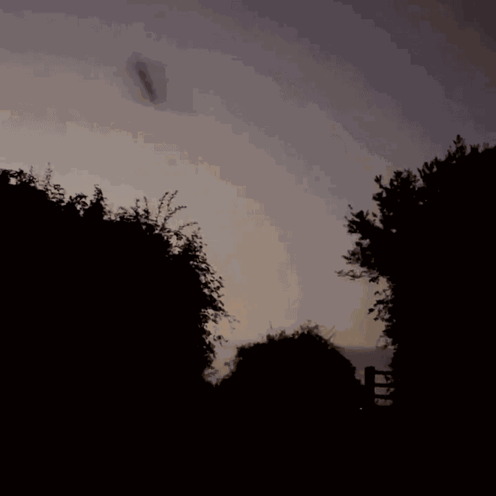 GIF animé