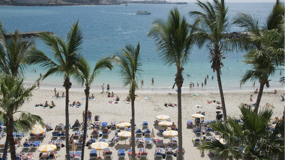 Patalavaca: Les palmiers créent une ambiance caribéenne.