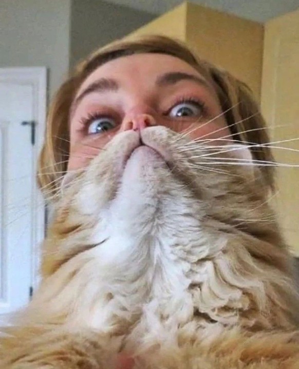 cute news tier katze

https://ch.pinterest.com/pin/3729612268958948/