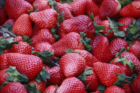 Austria, Vienna | 2017 04 01 | Fruits and vegetables on a Viennese market. Here: strawberries. © FOUR PAWS