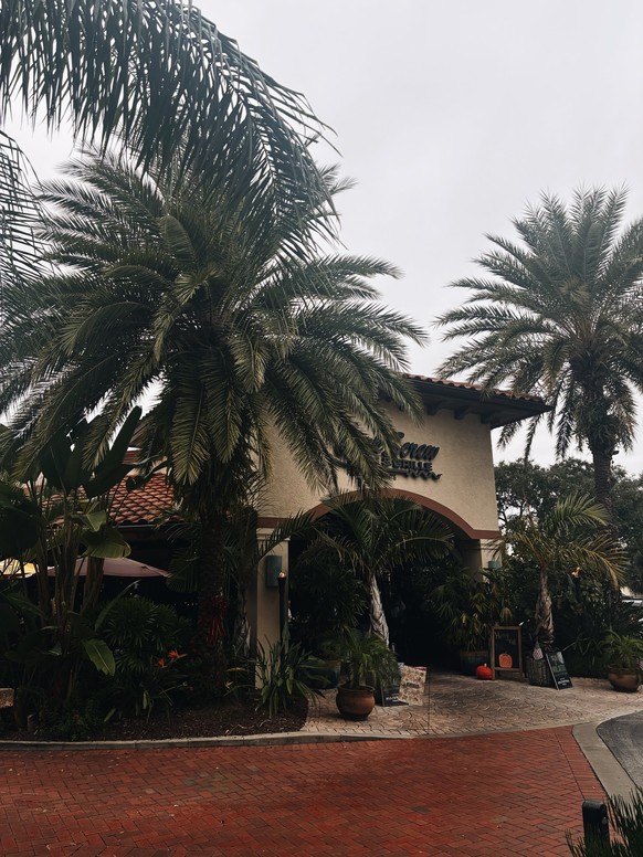 Processed with VSCO with c1 preset