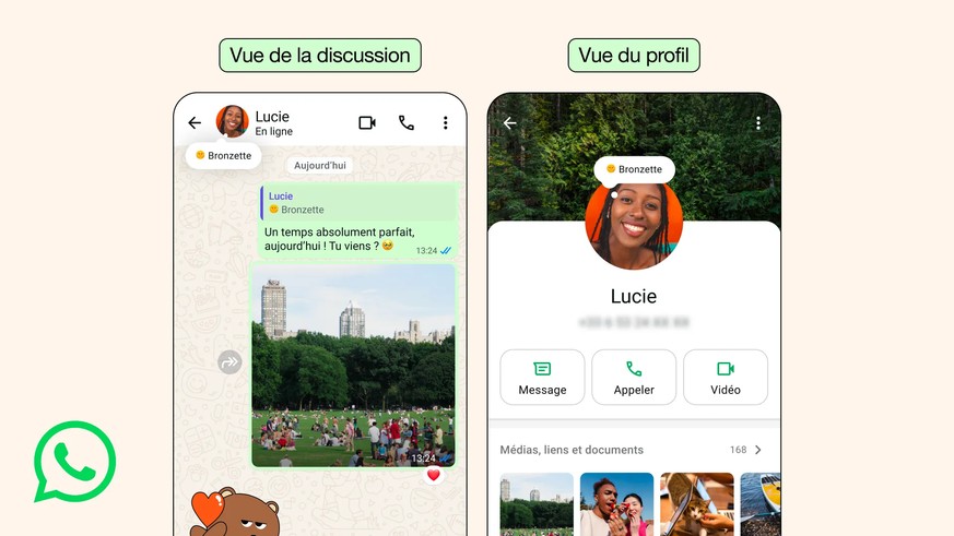Les informations du profil sont visibles à la fois dans la fenêtre de chat et sur la page d&#039;informations.
