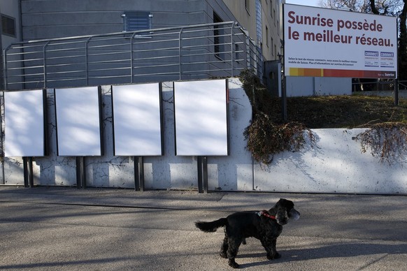 Genf: Un chien attend son maitre vers des panneaux de la Societe Generale d&#039;Affichage APG SGA vierges de publicites et une affiche publicitaire de Sunrise, ce mardi 3 janvier 2017 a Geneve. (KEYS ...