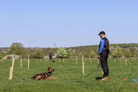 Entraînement des chiens démineurs en Suisse