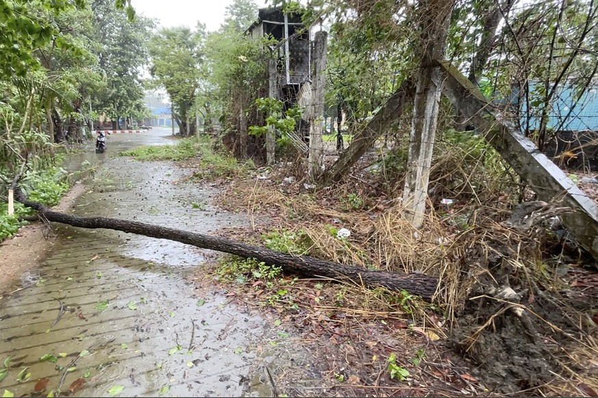 In this image from a video, a tree falls on an empty road as Cyclone Mocha approaches in Sittwe, Rakhine State, Myanmar Sunday, May 14, 2023. Bangladesh and Myanmar braced Sunday as the extremely seve ...