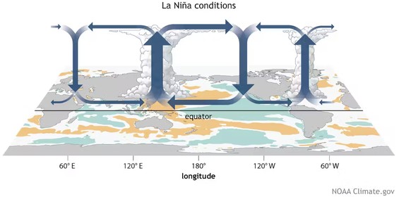 Pendant La Niña, la circulation de Walker s’intensifie, déclenchant des tempêtes plus violentes là où l’air s’élève.
