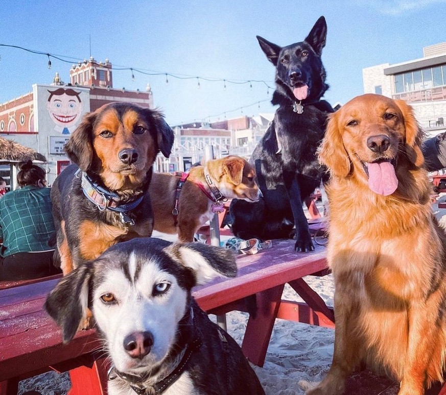 Voici Birk, Pete, Carlson, Clint et Berry. Ils se réunissent tous les jeudis entre bros au Wonder Bar.