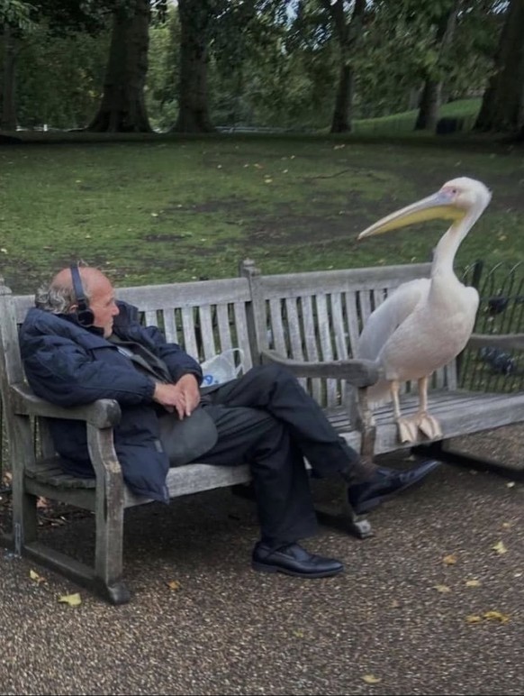 Cute News: süsse und lustige Tierbilder