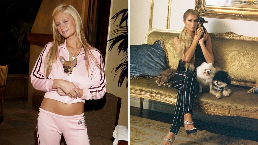 RIP Harajuku Bitch. L&#039;un des nombreux chiens de l&#039;héritière Paris Hilton est mort à 23 ans.