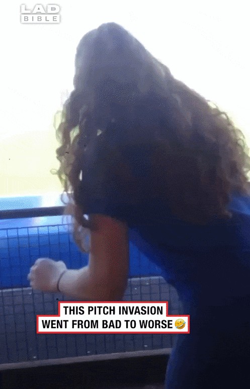 GIF animé