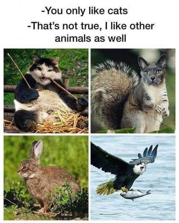 cute news photoshop

https://www.instagram.com/p/C7SMqNHoSxW/