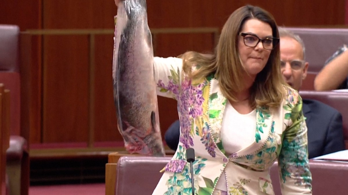 Senator Displays Dead Salmon in Parliament - News Directory 3