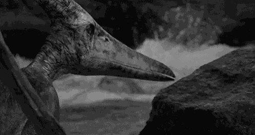 GIF animé