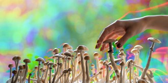 La Suisse permet de traiter des malades avec du LSD ou des champis